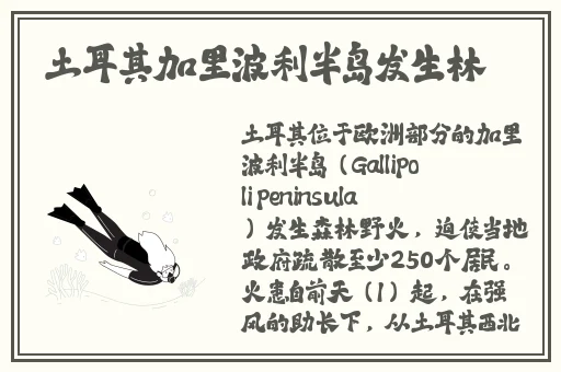 欧美高清v dossexo